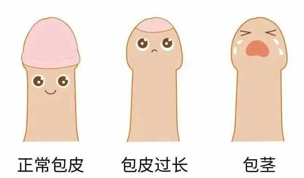 微信圖片_20250708162101.jpg